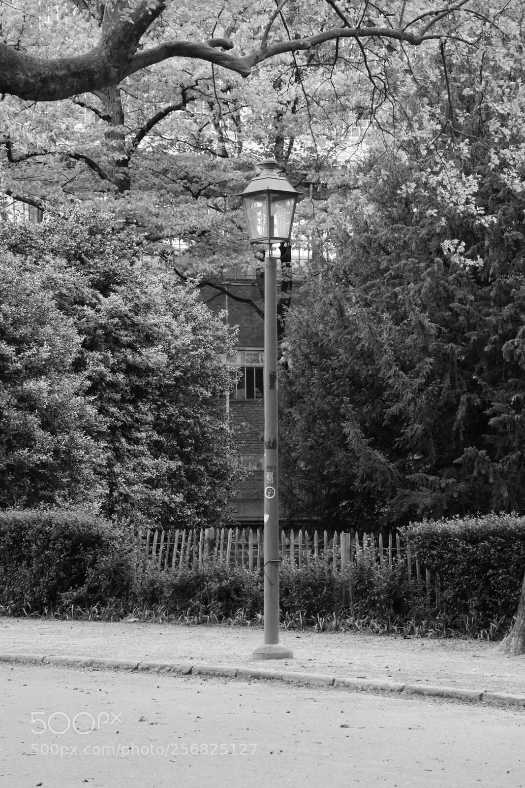 Nikon D5500 sample photo. Parc du cinquantenaire. photography