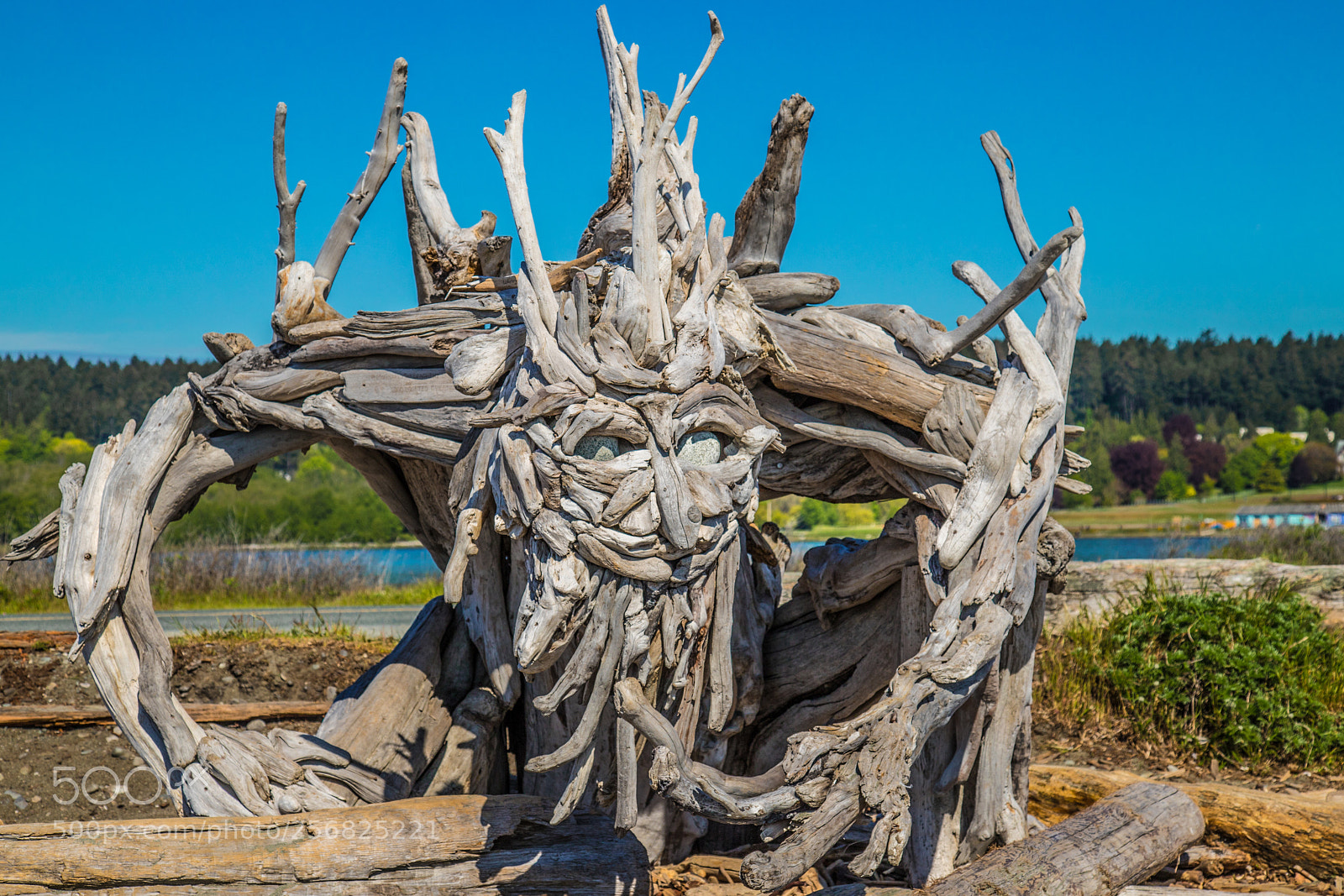 Canon EOS 6D Mark II sample photo. Beach art of vancouver photography