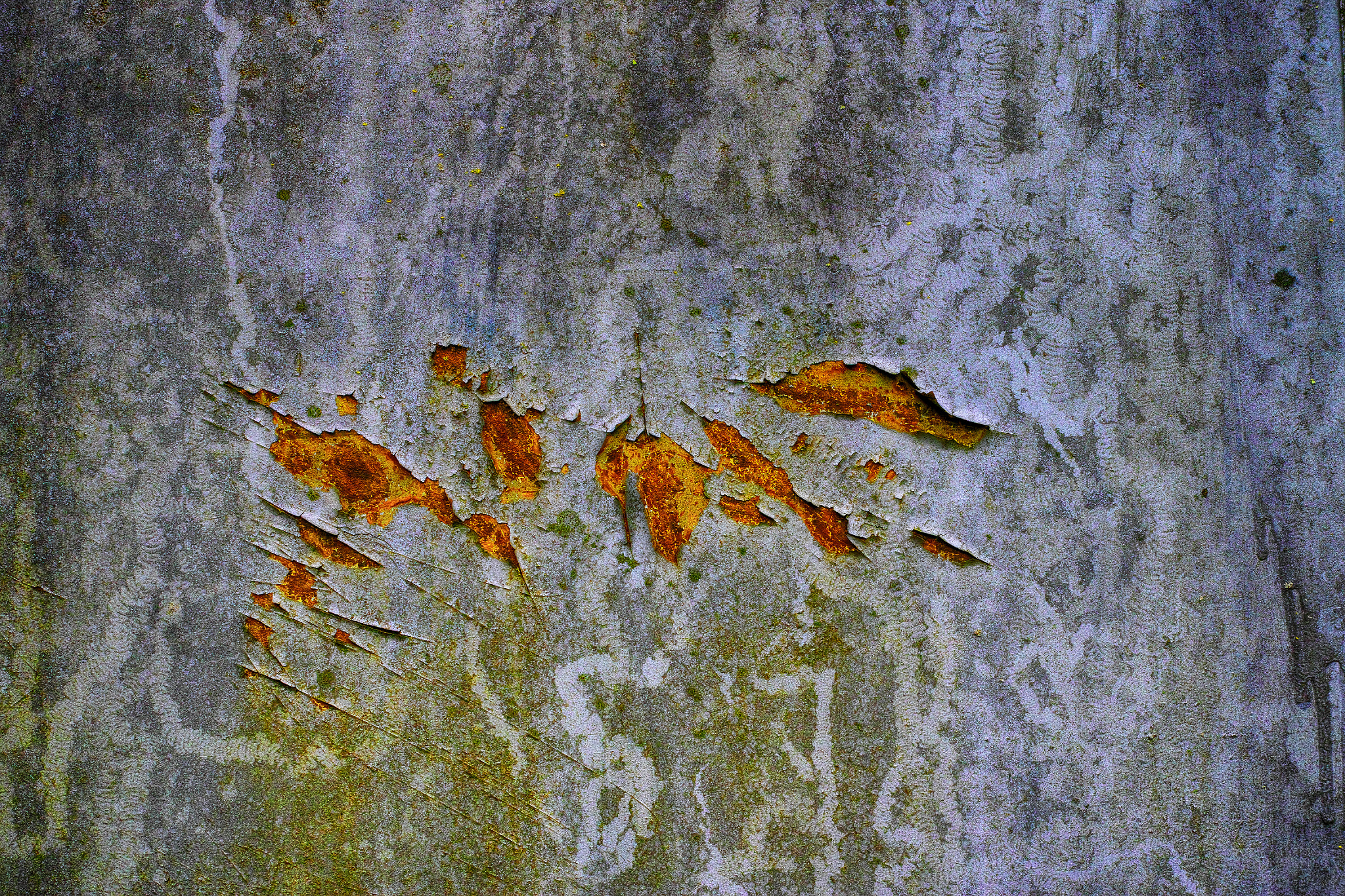 Sigma DP2 Merrill sample photo. Rust photography