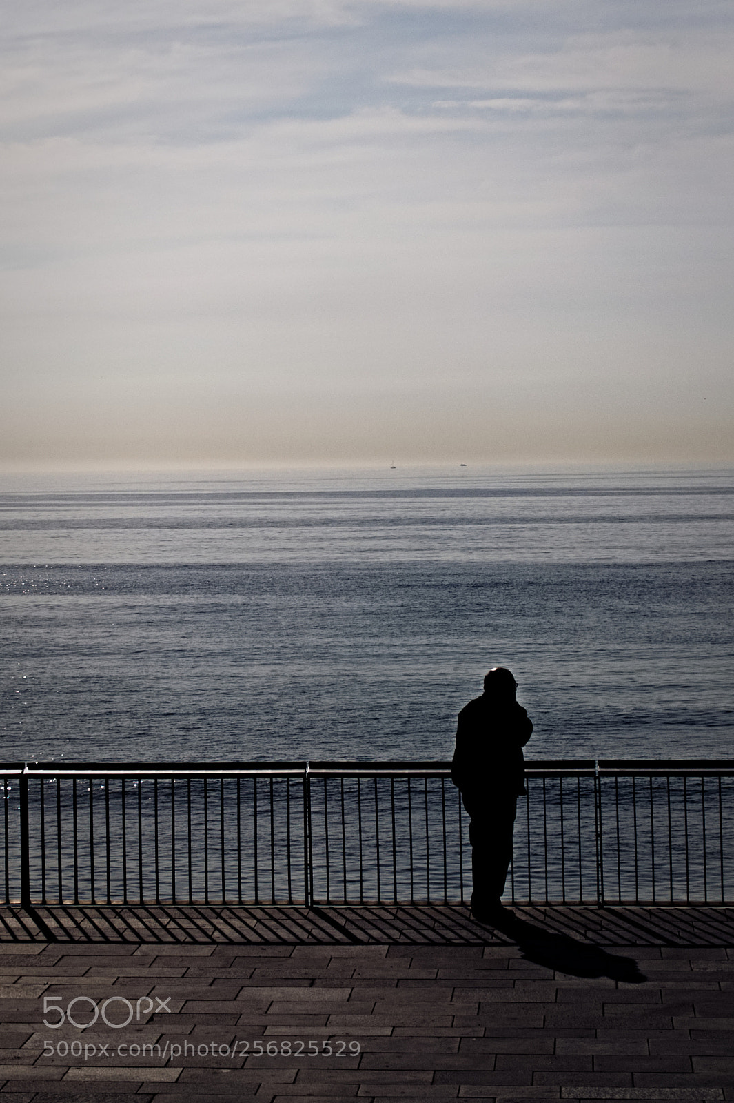 Nikon D5000 sample photo. Man fence photography