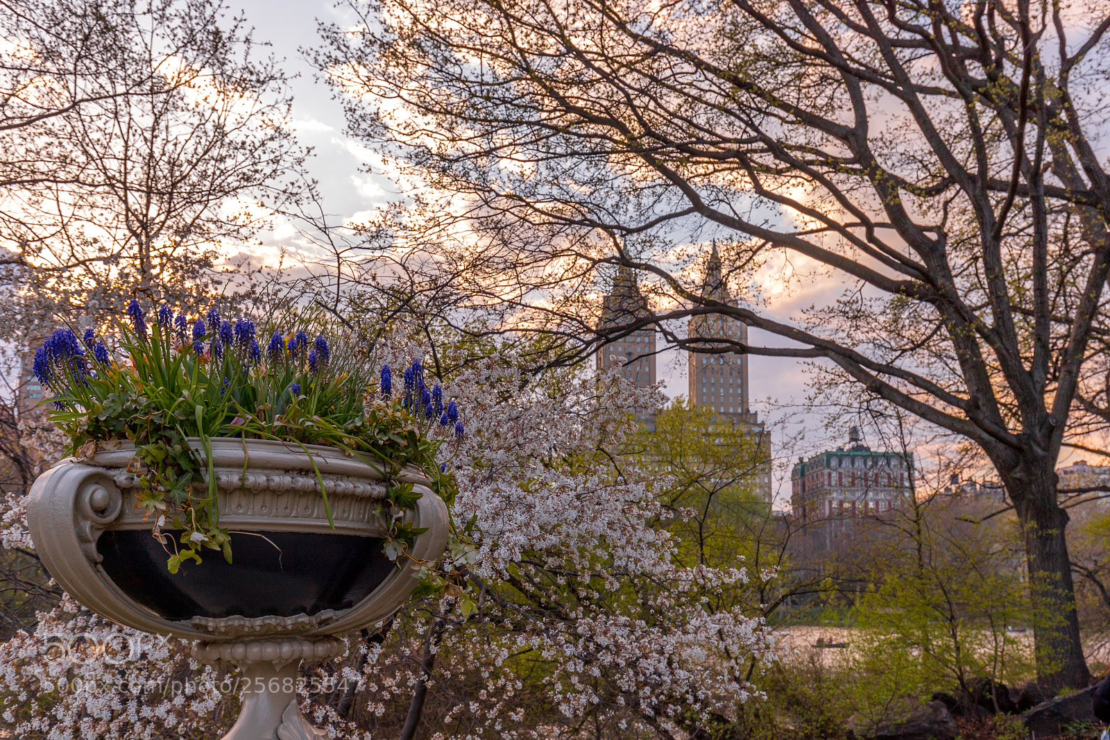 Canon EOS 6D Mark II sample photo. Spring in new york photography