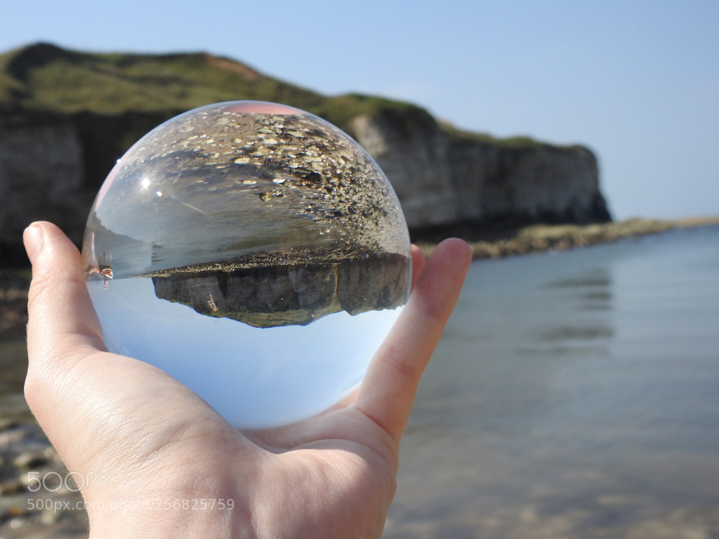 Nikon Coolpix P900 sample photo. Flamborough photography