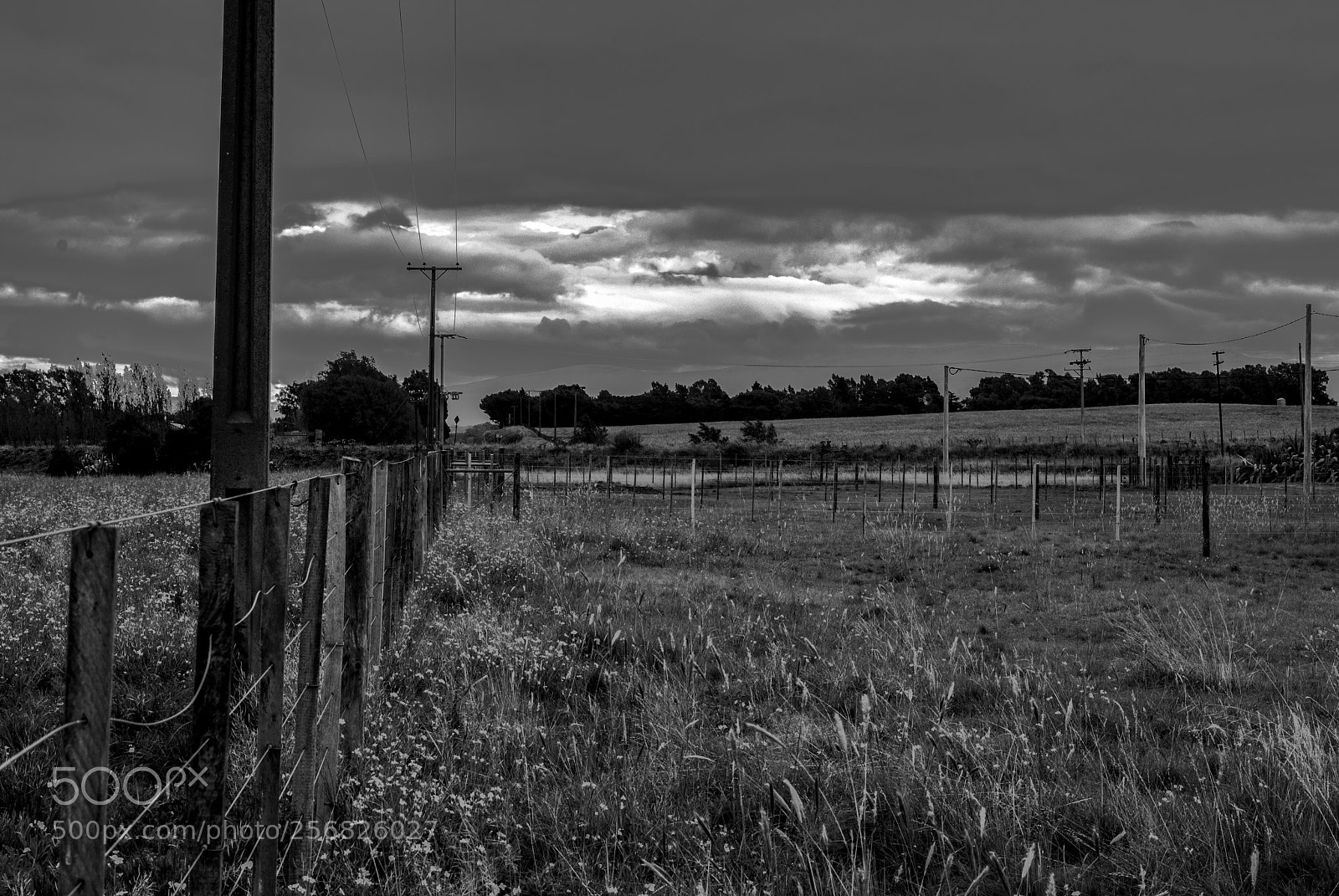Nikon D3000 sample photo. Still alone photography