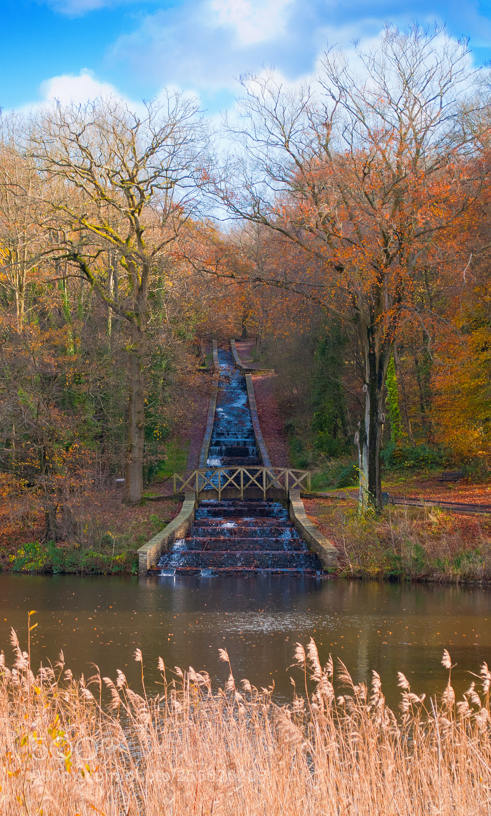Nikon D5000 sample photo. Bridge over waterfall photography