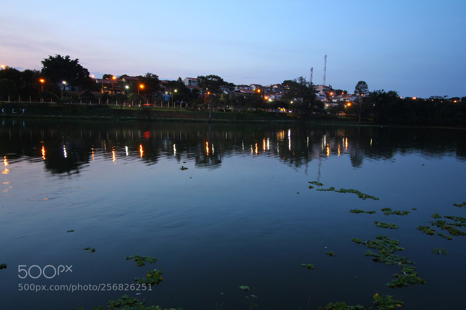 Canon EOS 700D (EOS Rebel T5i / EOS Kiss X7i) sample photo. Img photography