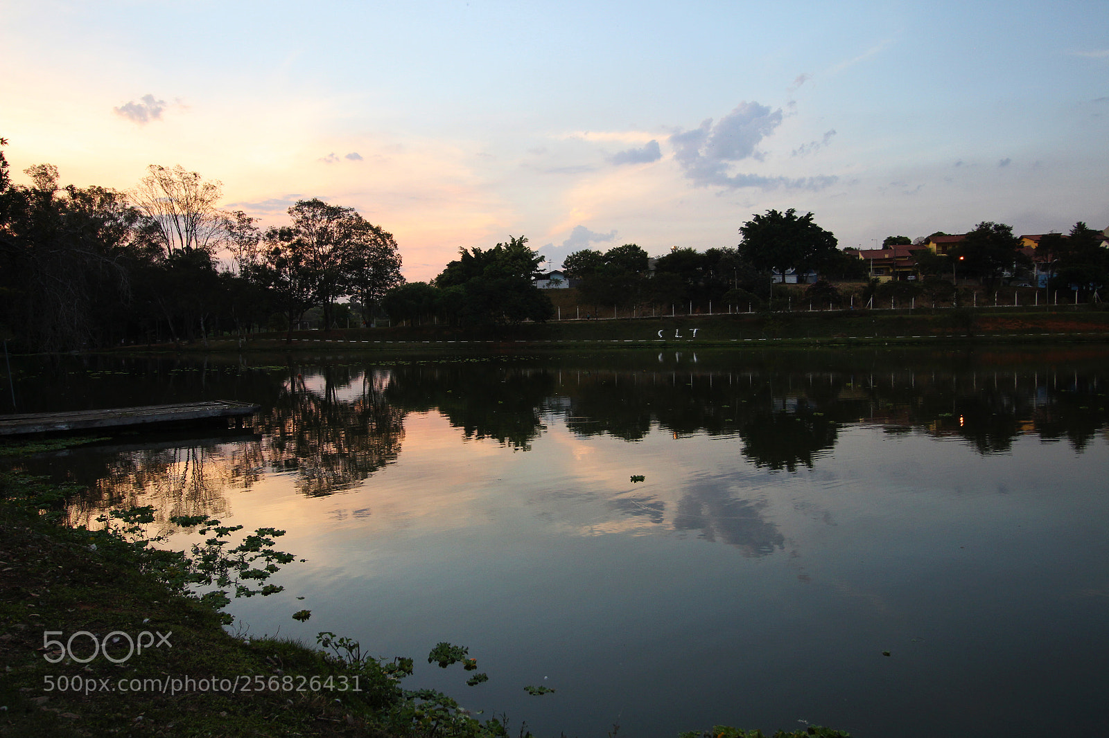 Canon EOS 700D (EOS Rebel T5i / EOS Kiss X7i) sample photo. Img photography