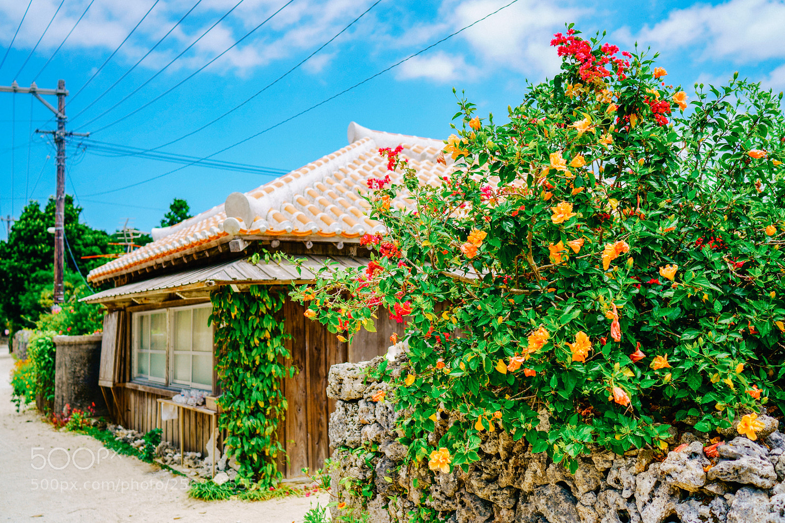 Sony a7R III sample photo. Color photography