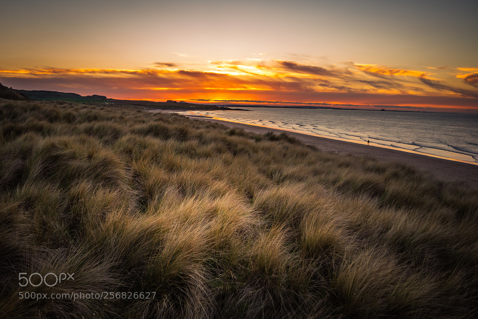 Sony a7 sample photo. Sunset at bamburgh photography