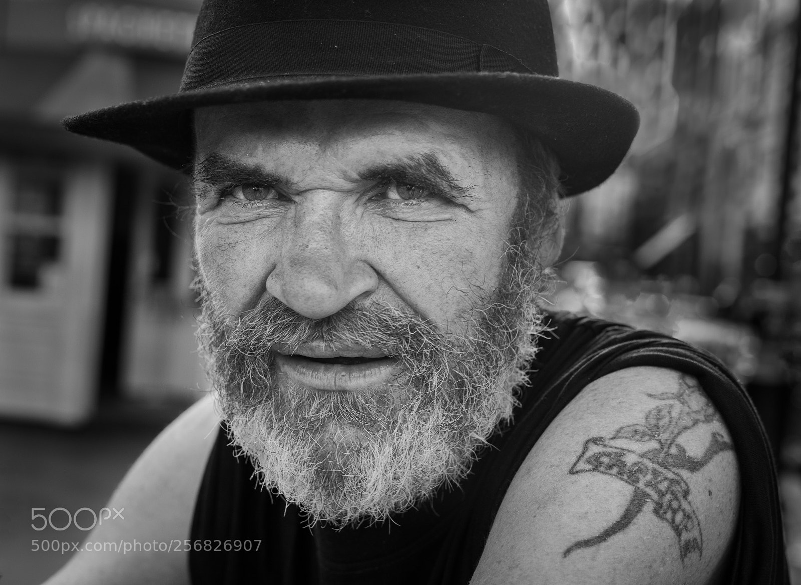 Nikon D850 sample photo. The wanderer photography