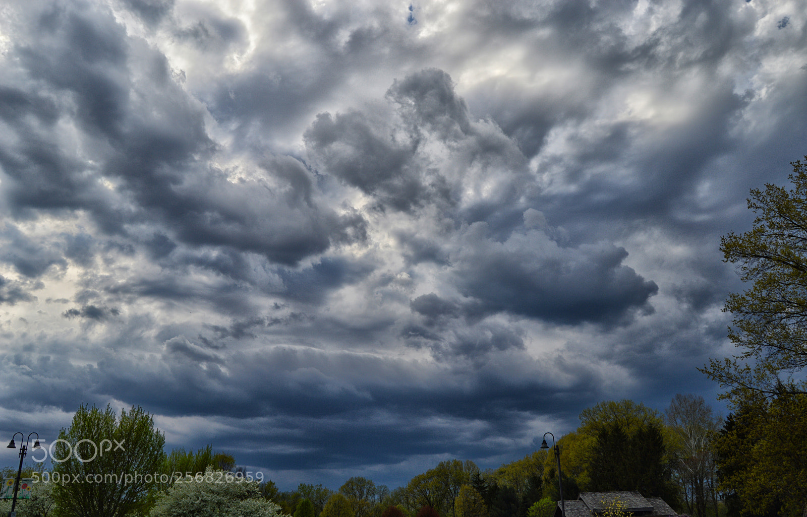 Nikon D3200 sample photo. Clouds trees photography