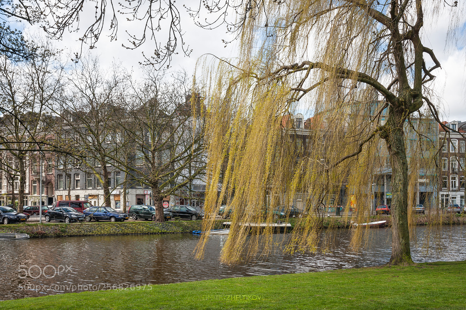 Canon EOS 40D sample photo. Willow on the canal photography