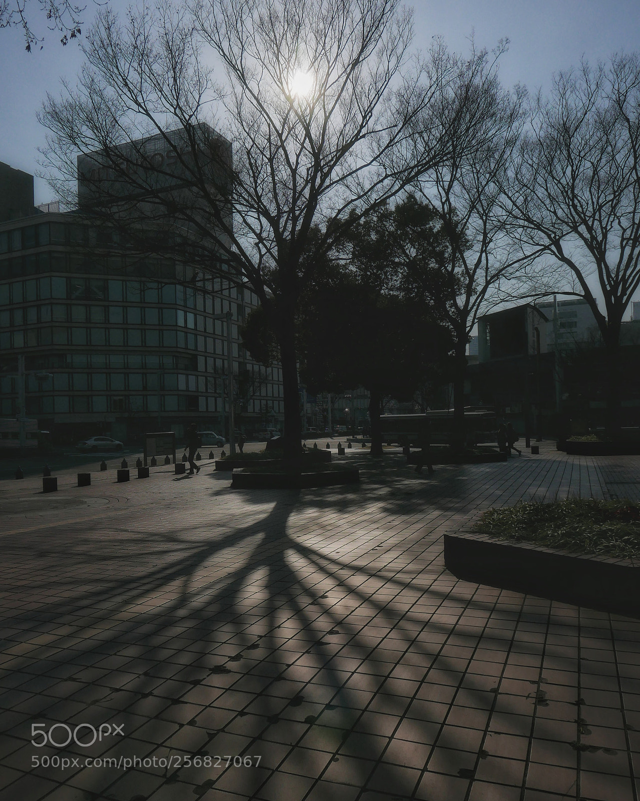 Panasonic Lumix DMC-LX100 sample photo. Untitled photography
