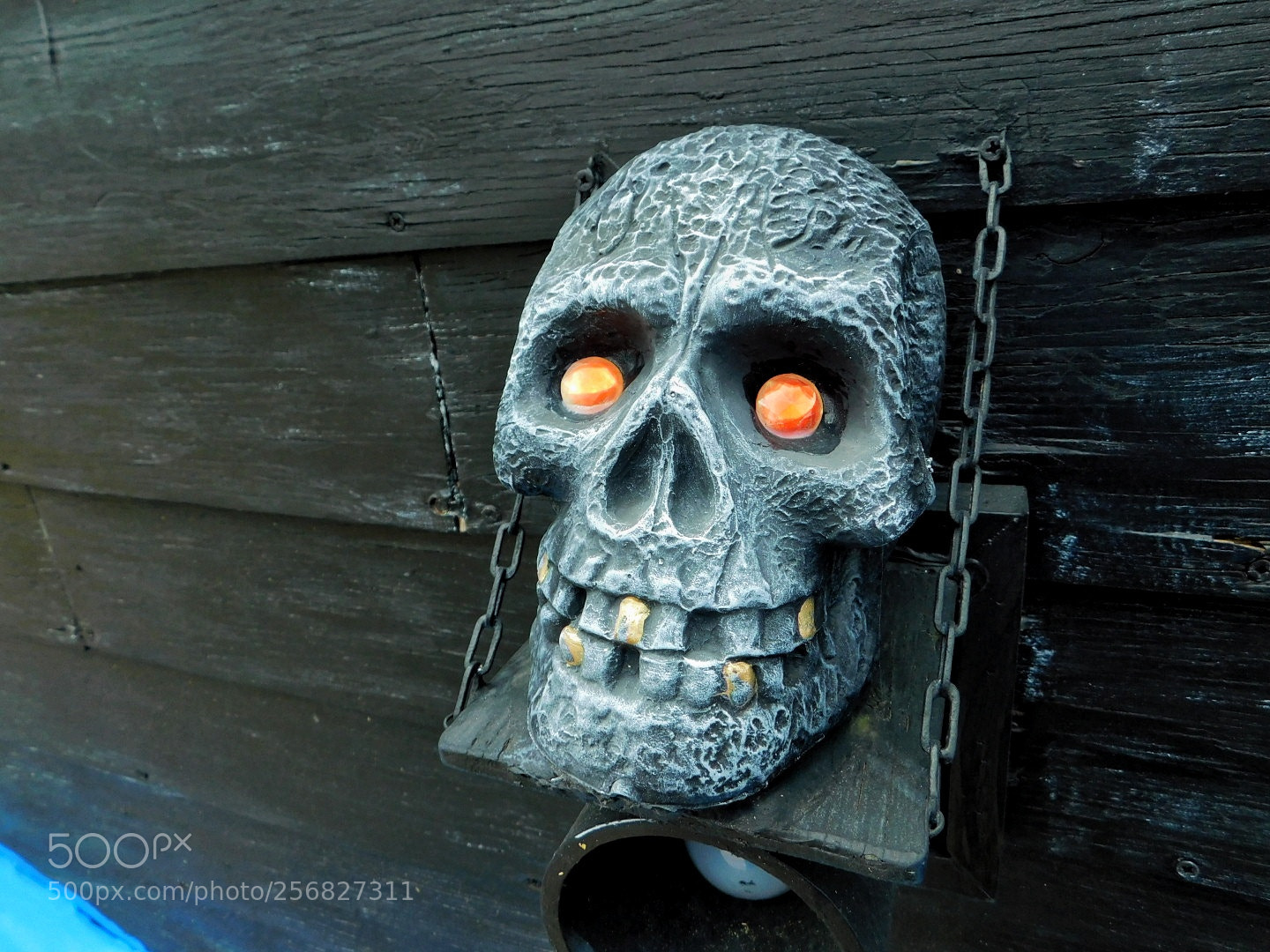 Nikon Coolpix B500 sample photo. Smiling skull photography