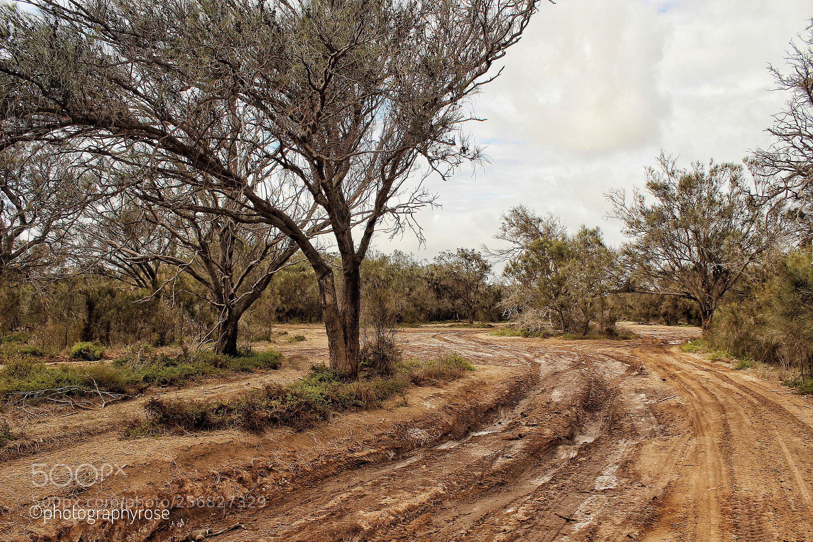Canon EOS 1300D (EOS Rebel T6 / EOS Kiss X80) sample photo. Dirt track photography