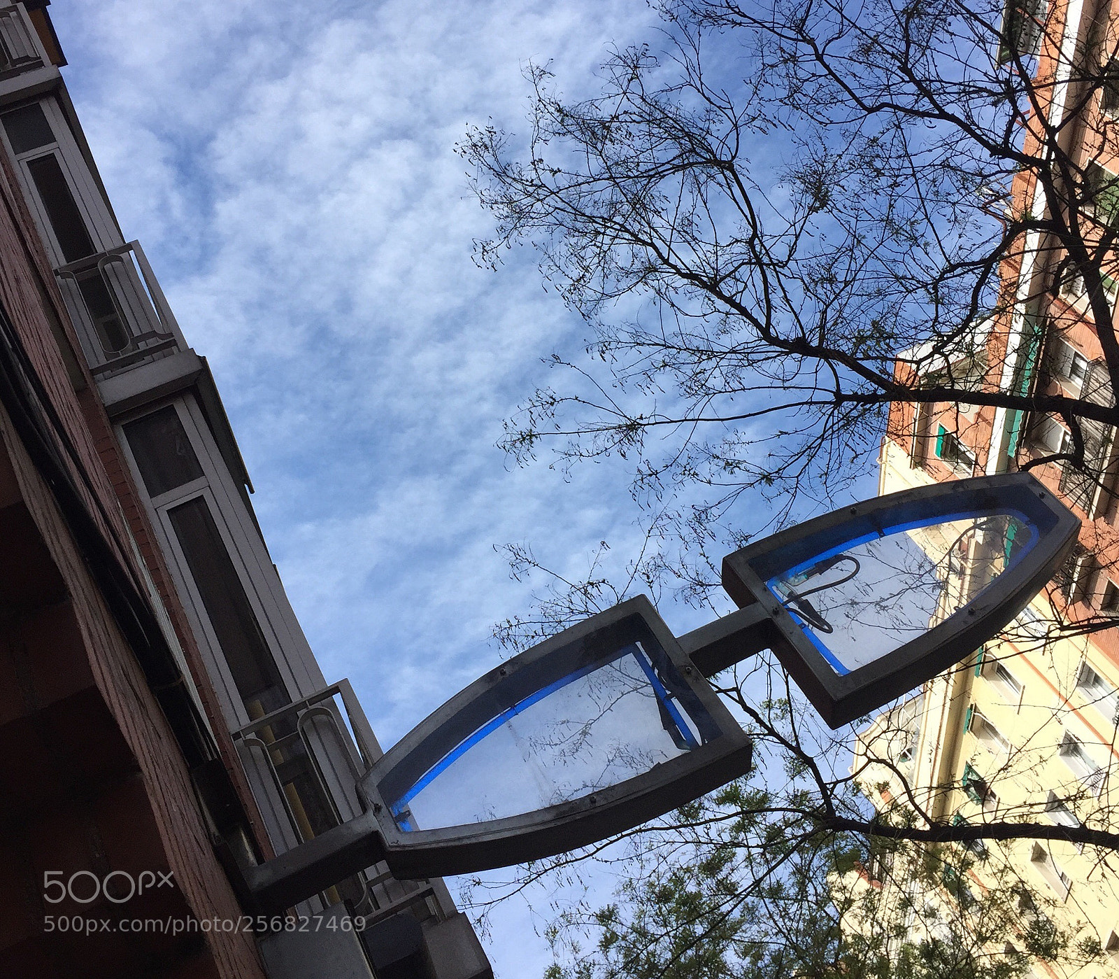 Apple iPhone 6 sample photo. Untitled photography