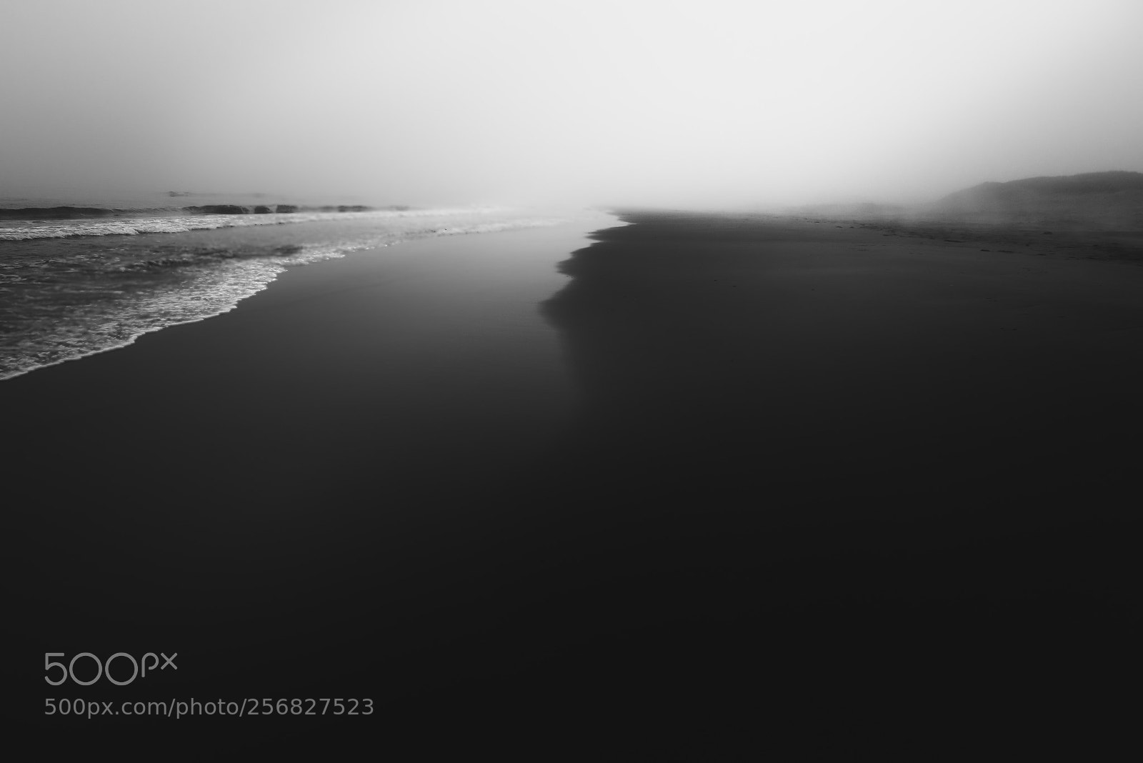 Nikon D610 sample photo. Foggy light ... photography