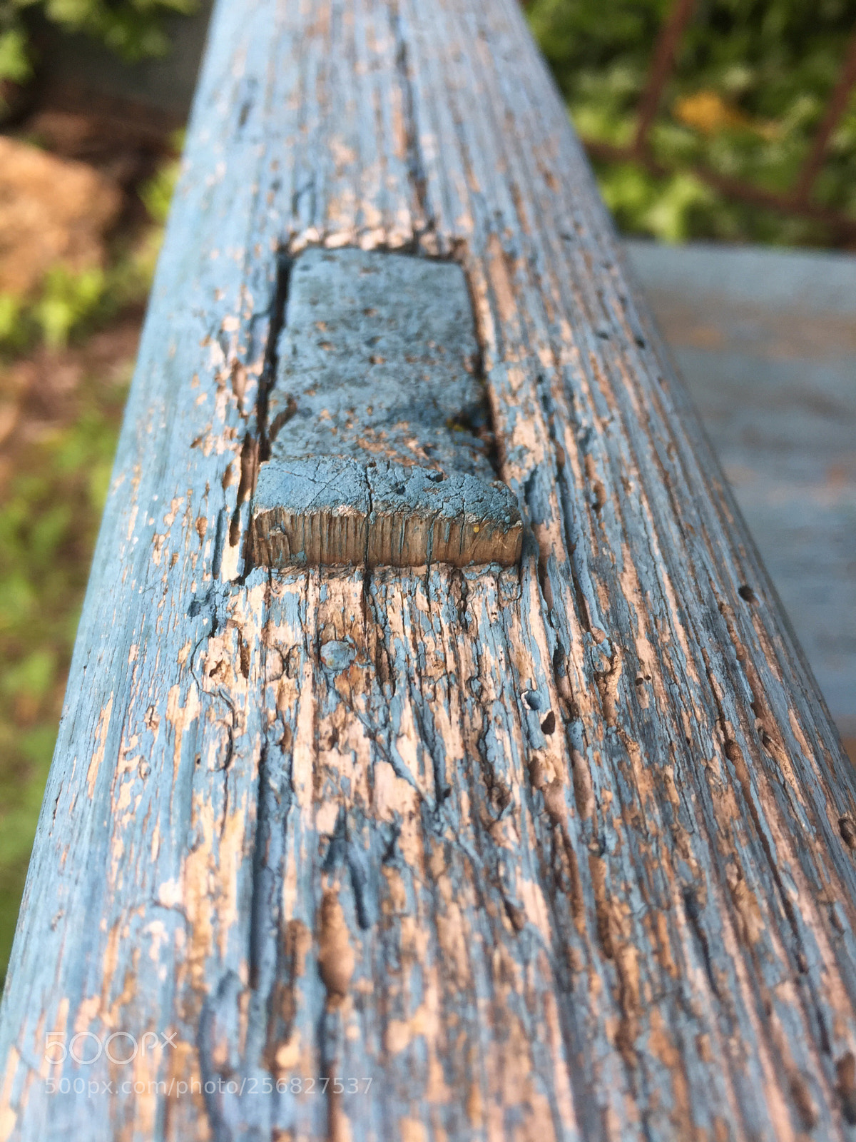 Apple iPhone 6 sample photo. Untitled photography