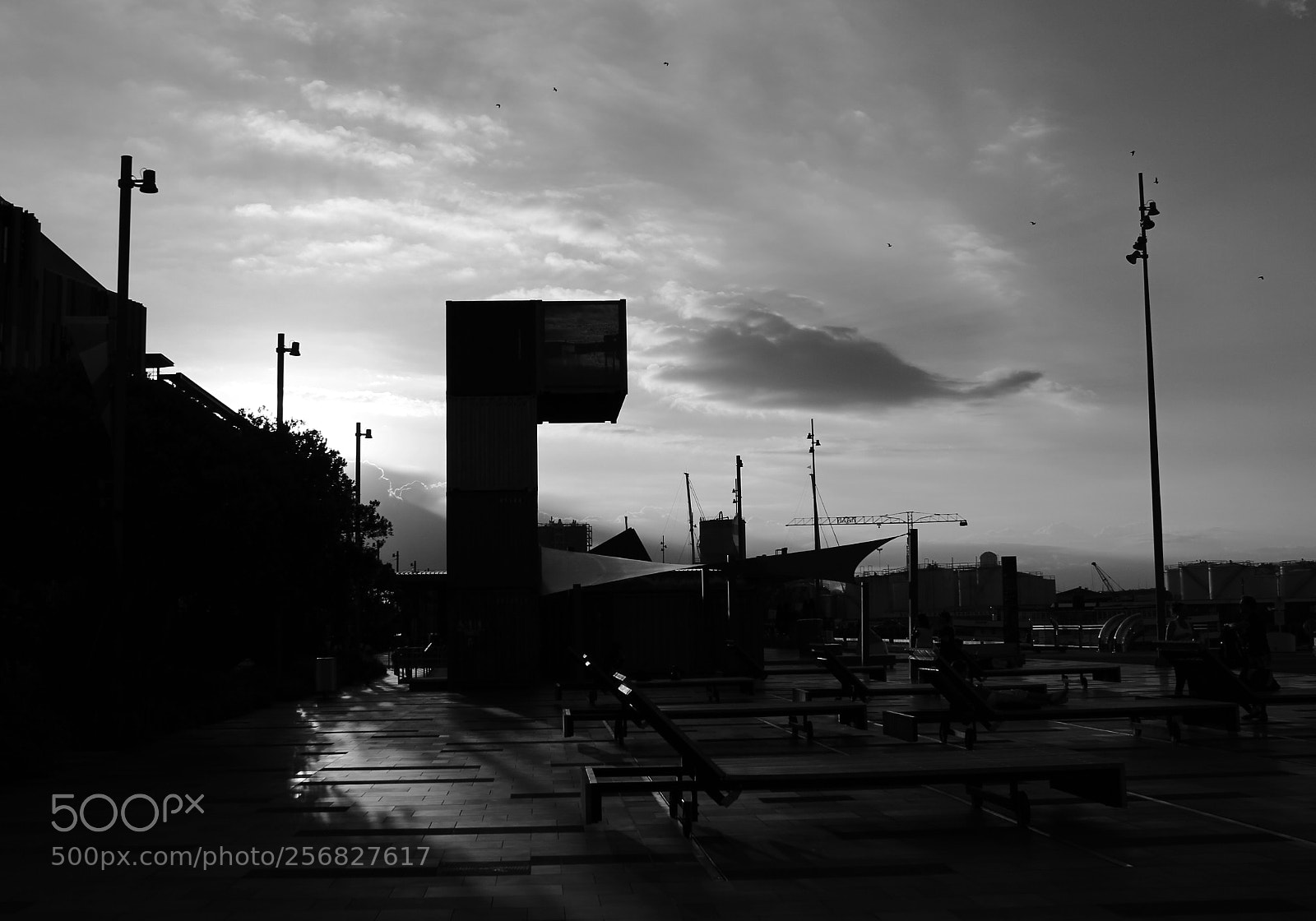 Canon EOS 7D sample photo. Auckland viaduct photography