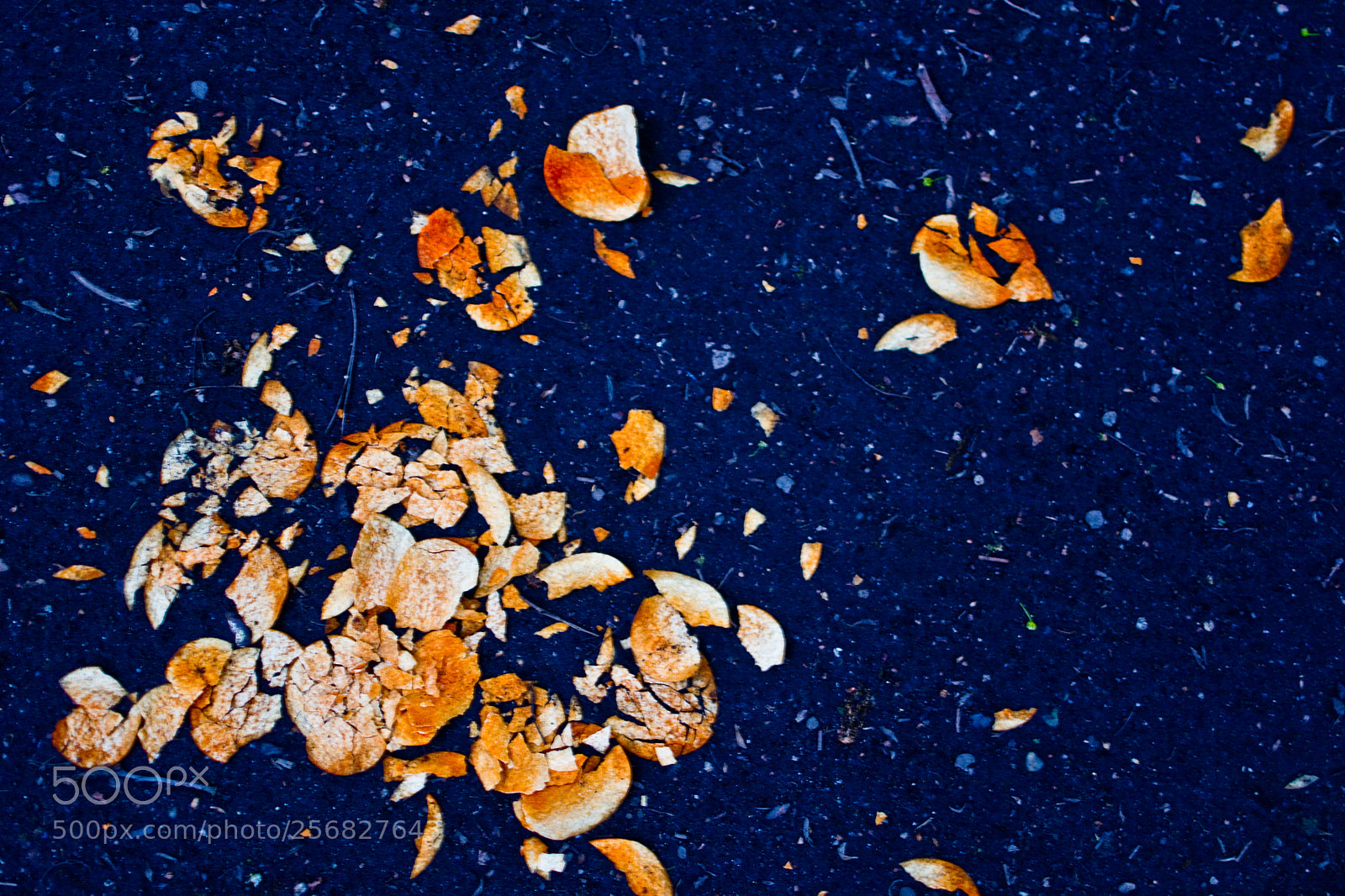 Nikon D7100 sample photo. Broken crisps on path photography