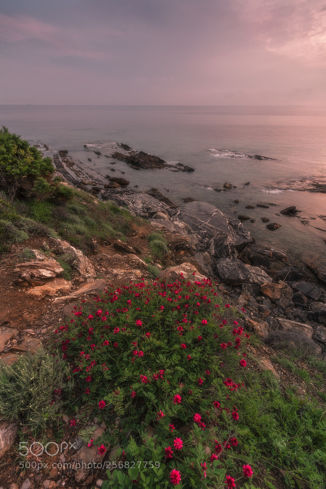 Canon EOS-1D X Mark II sample photo. Tramonto  photography