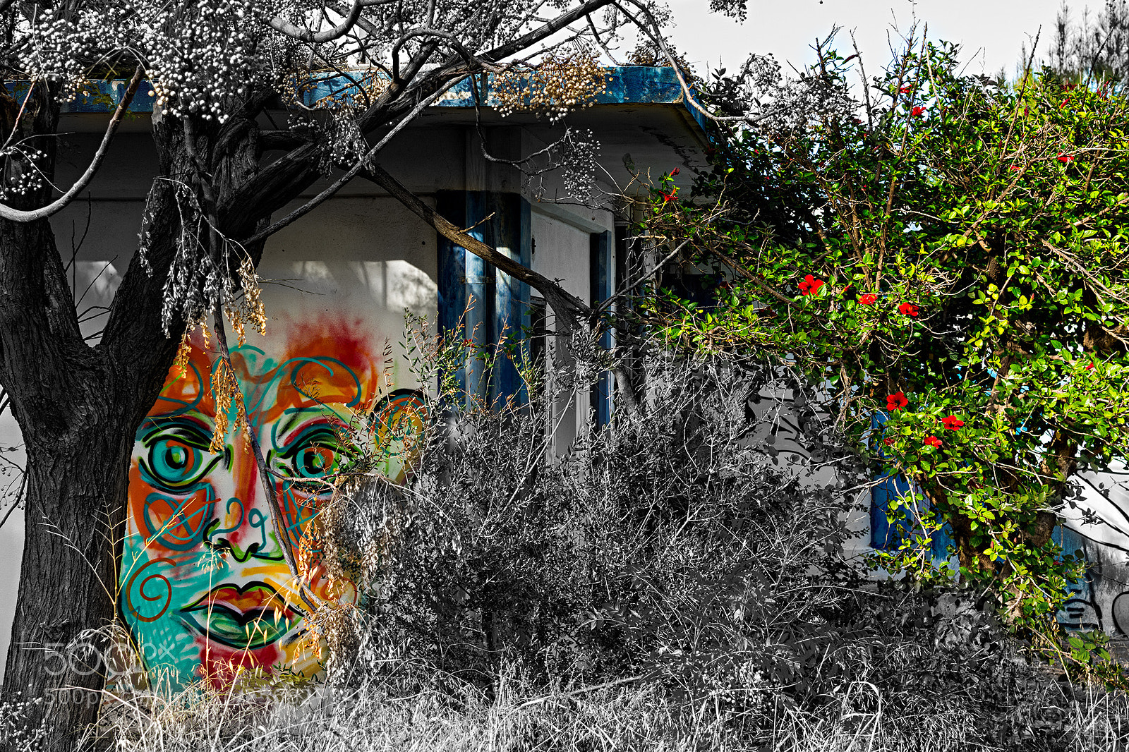 Nikon D7100 sample photo. Abandoned photography