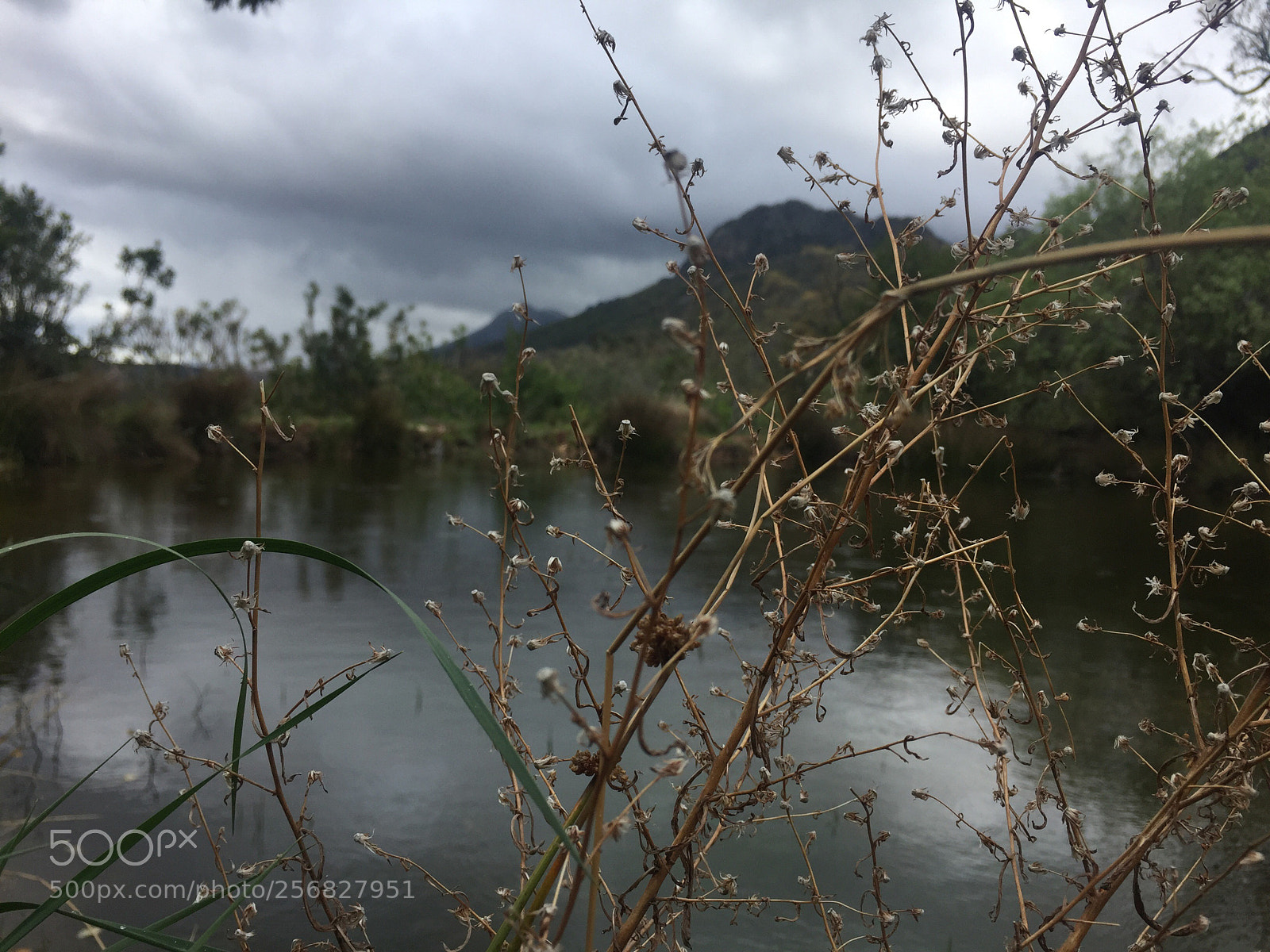 Apple iPhone 6 sample photo. Untitled photography