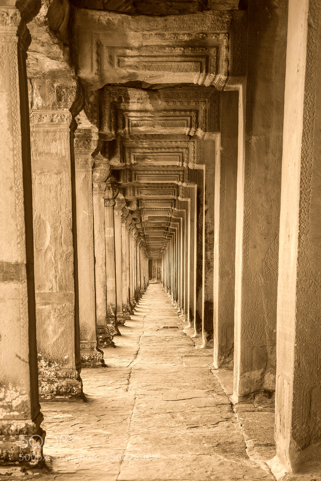 Nikon D750 sample photo. Angkor wat , siem photography