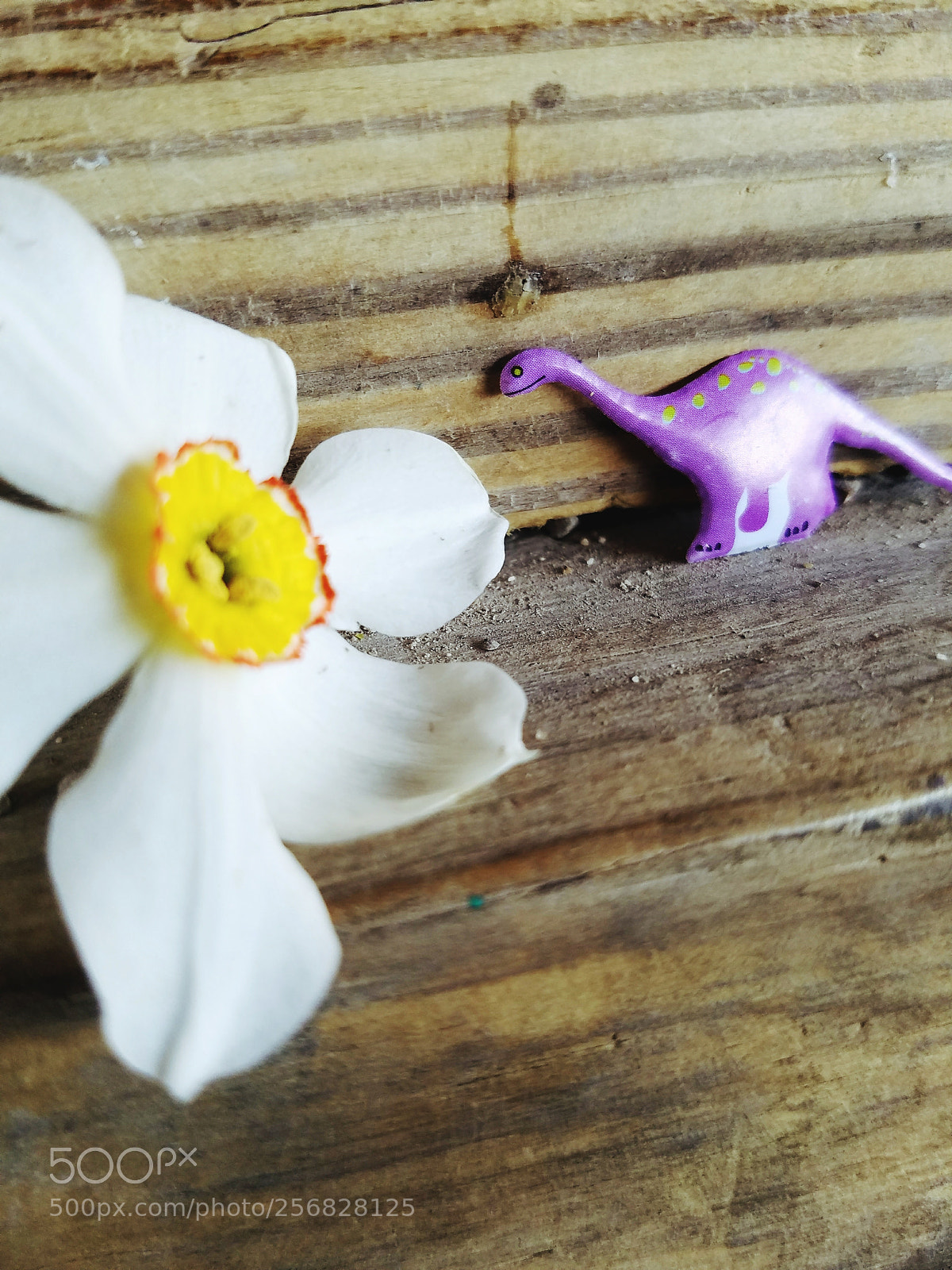 Samsung Galaxy S7 sample photo. Untitled photography
