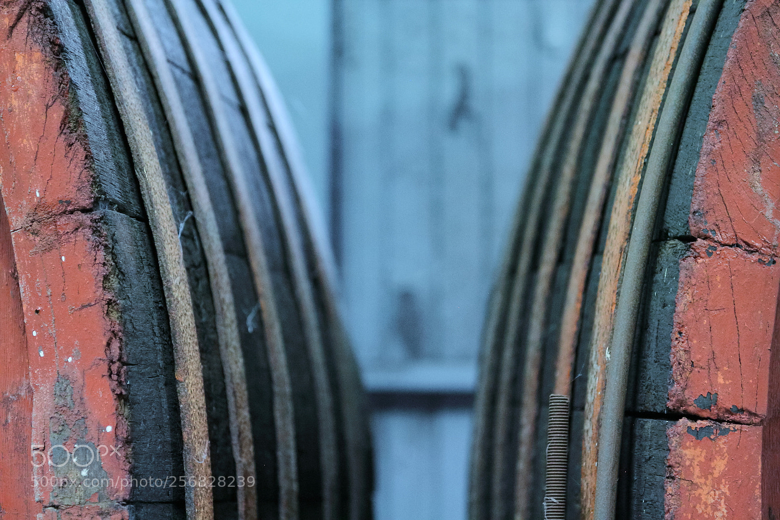 Canon EOS 7D + Canon EF 50mm F1.8 II sample photo. Barrel photography