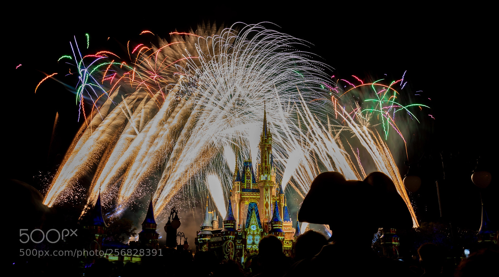 Canon EOS 80D sample photo. Disney fireworks !! photography