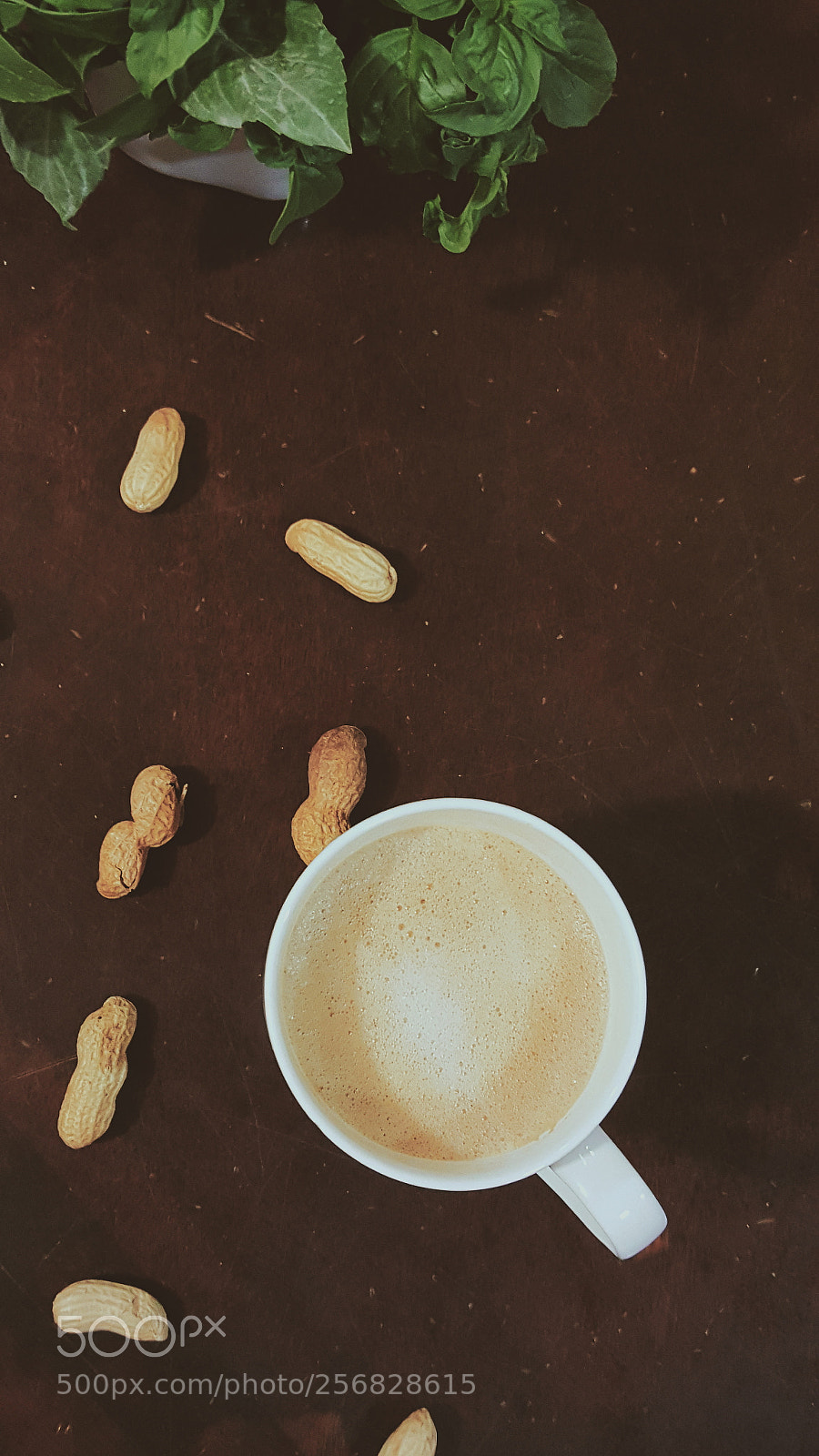 Samsung Galaxy Note5 sample photo. Untitled photography