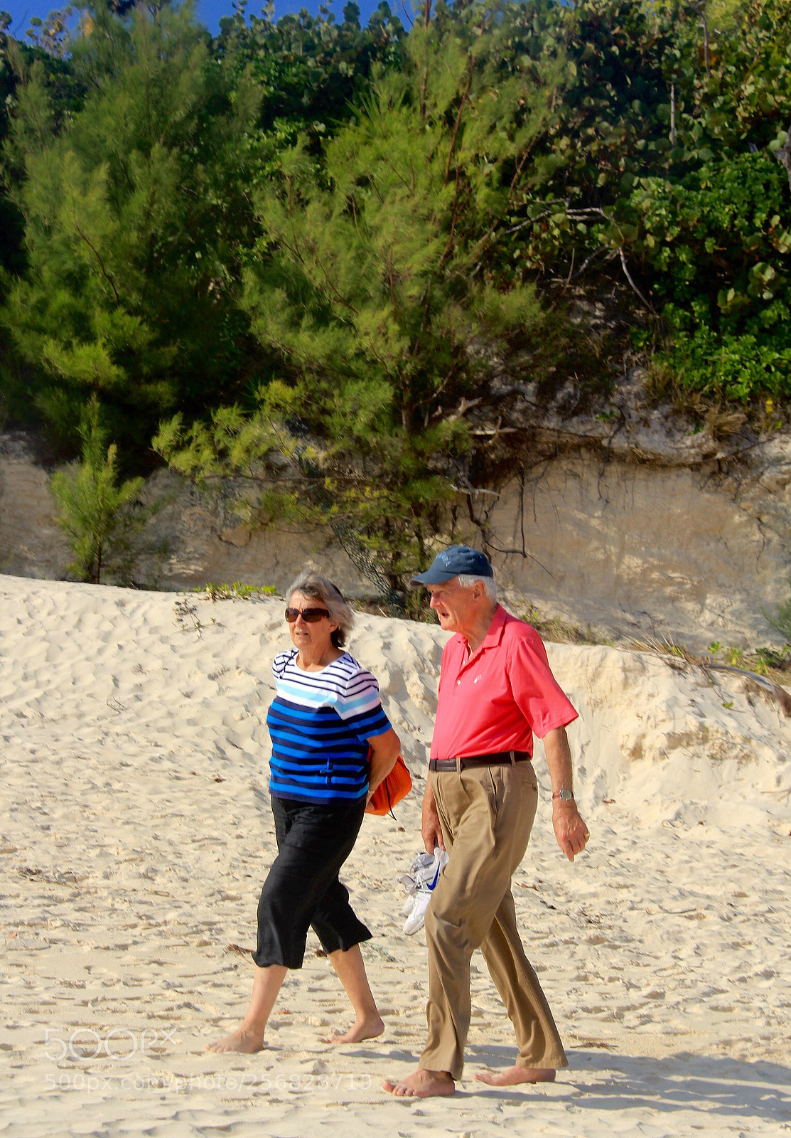 Canon EOS 60D sample photo. A stroll on the photography