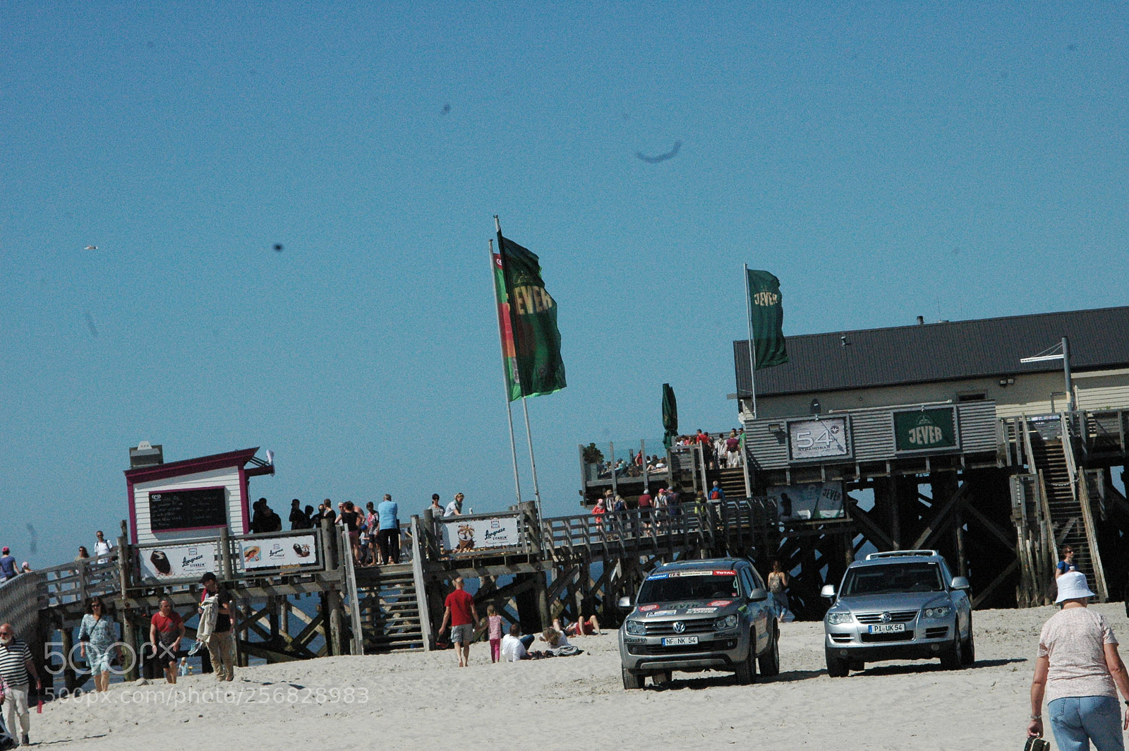 Nikon D70 sample photo. Beach life spo photography