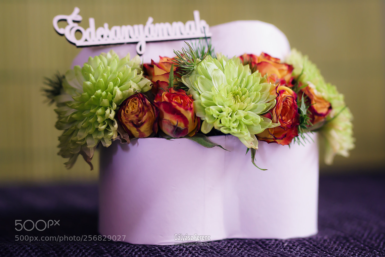 Sony a7R II sample photo. Day 020 photography