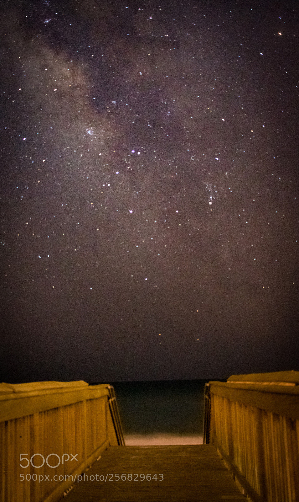 Canon EOS 750D (EOS Rebel T6i / EOS Kiss X8i) sample photo. Look at the stars photography