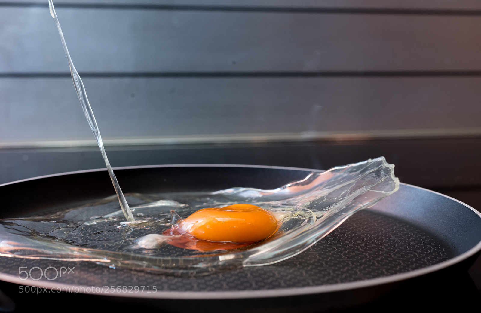 Nikon D800 sample photo. Egg photography
