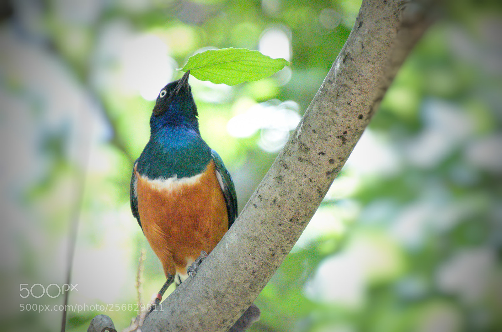 Nikon D5100 sample photo. Untitled photography