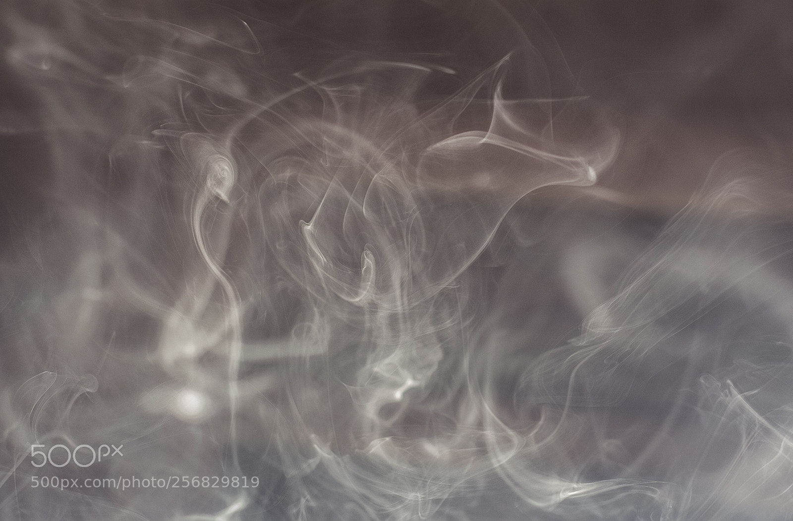 Fujifilm X-E1 sample photo. Smoke with natural light photography