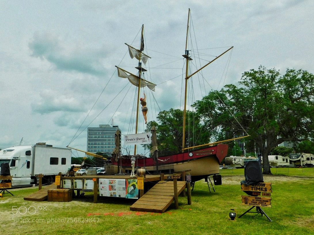Nikon Coolpix B500 sample photo. Land pirate ship photography