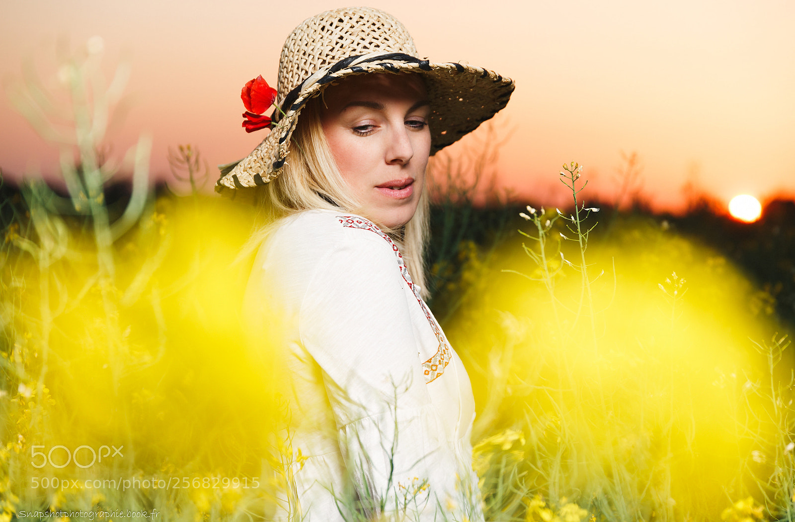 Canon EOS 6D sample photo. Armelle colza photography