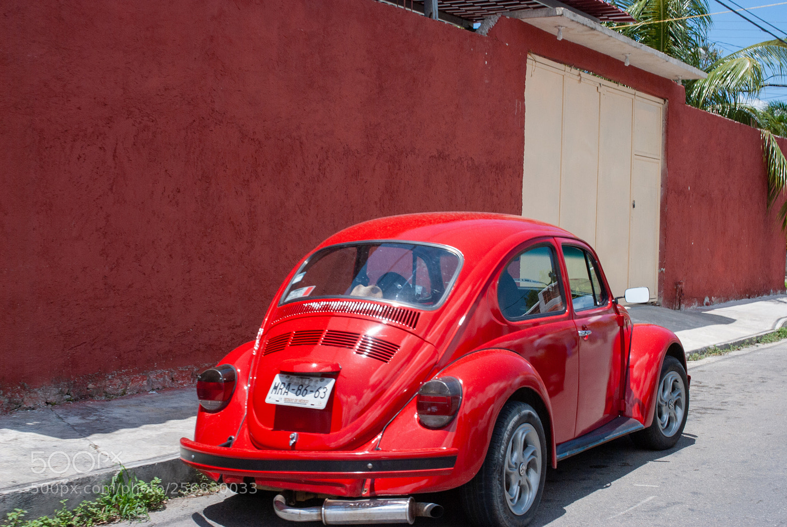 Nikon D80 sample photo. Vw photography