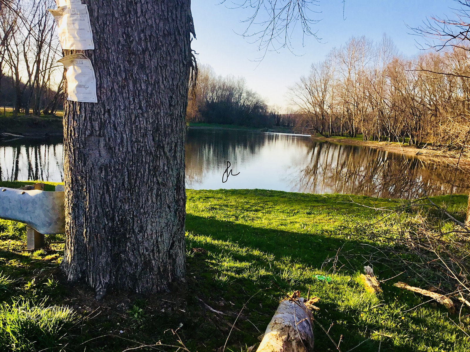 Apple iPad (5th generation) sample photo. Spring on french creek photography
