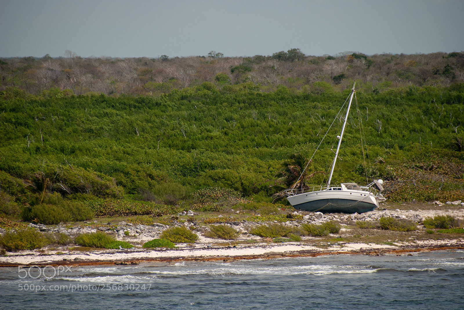 Nikon D80 sample photo. Shipwrecked photography