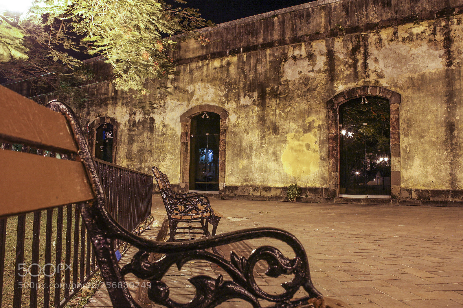 Canon EOS 60D sample photo. Chillin photography