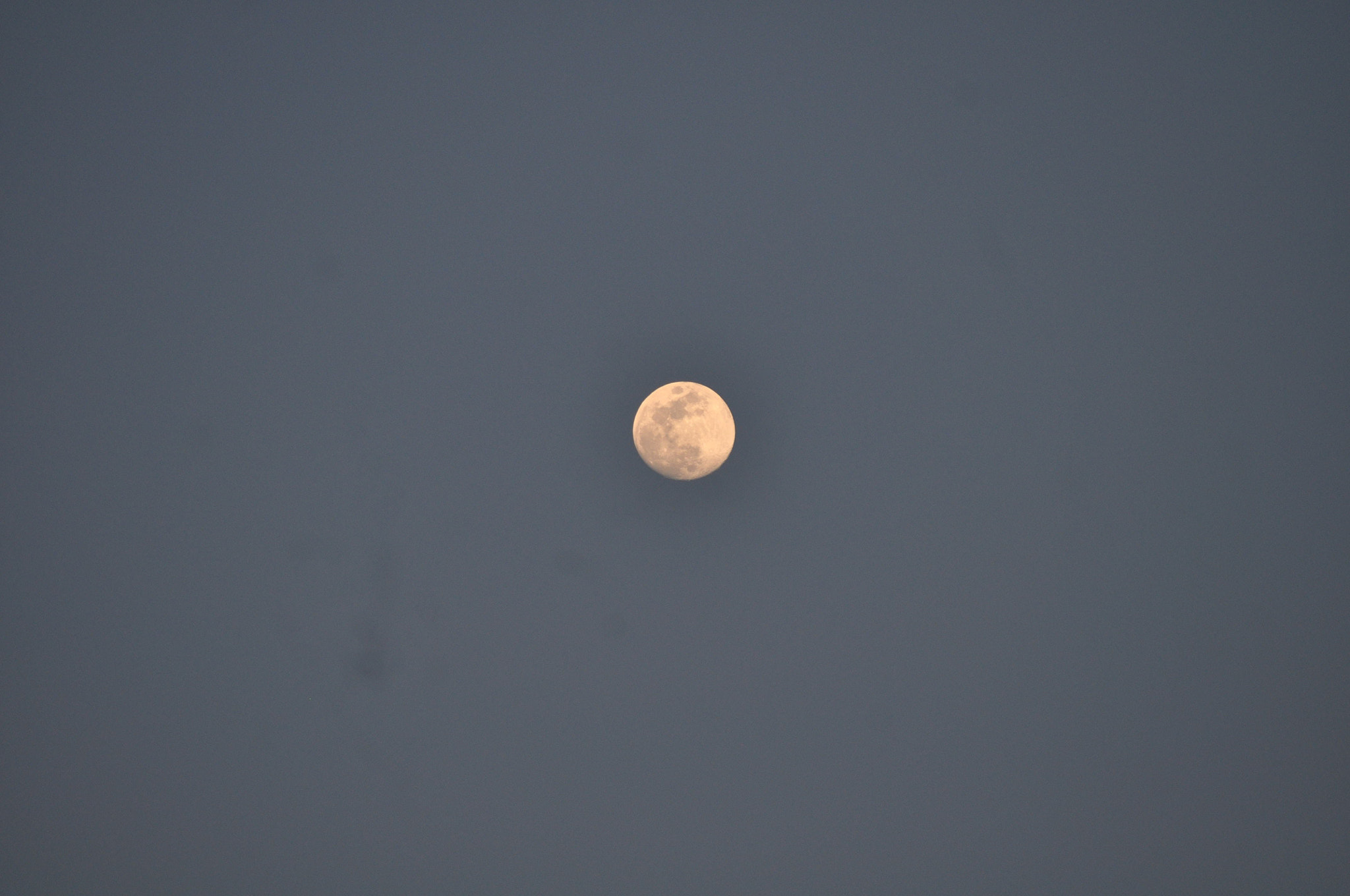 Nikon D5000 sample photo