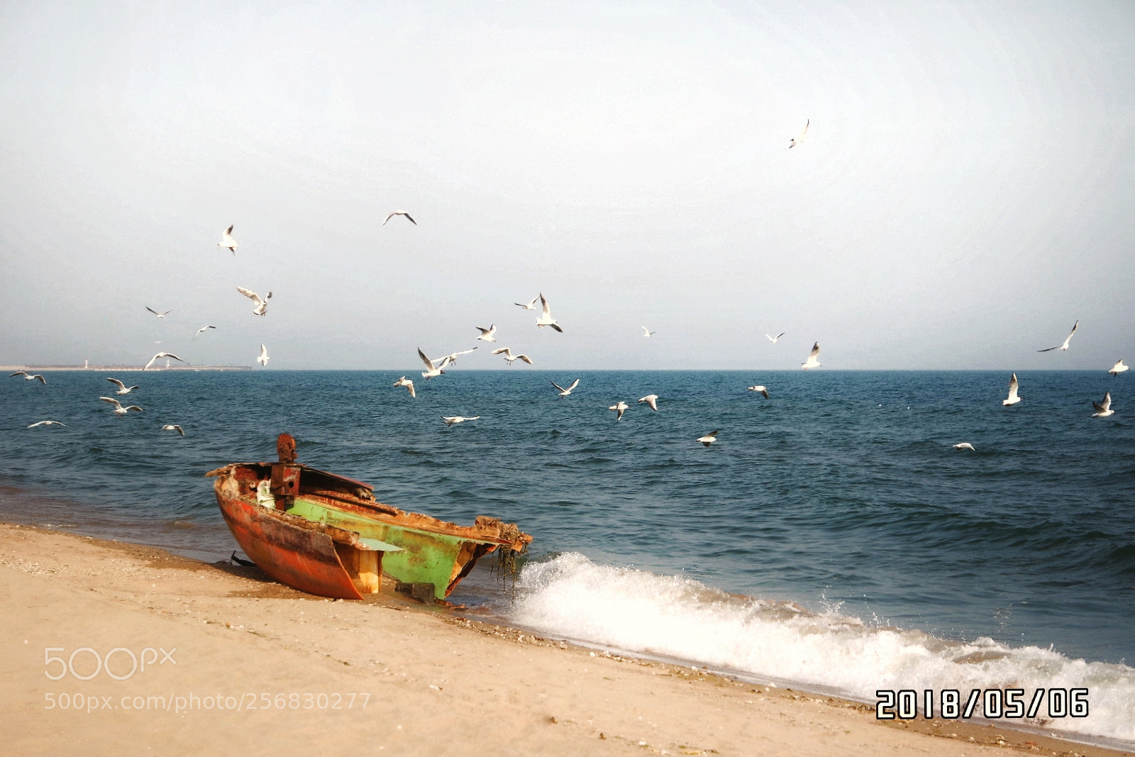 Samsung NX3000 sample photo. Untitled photography