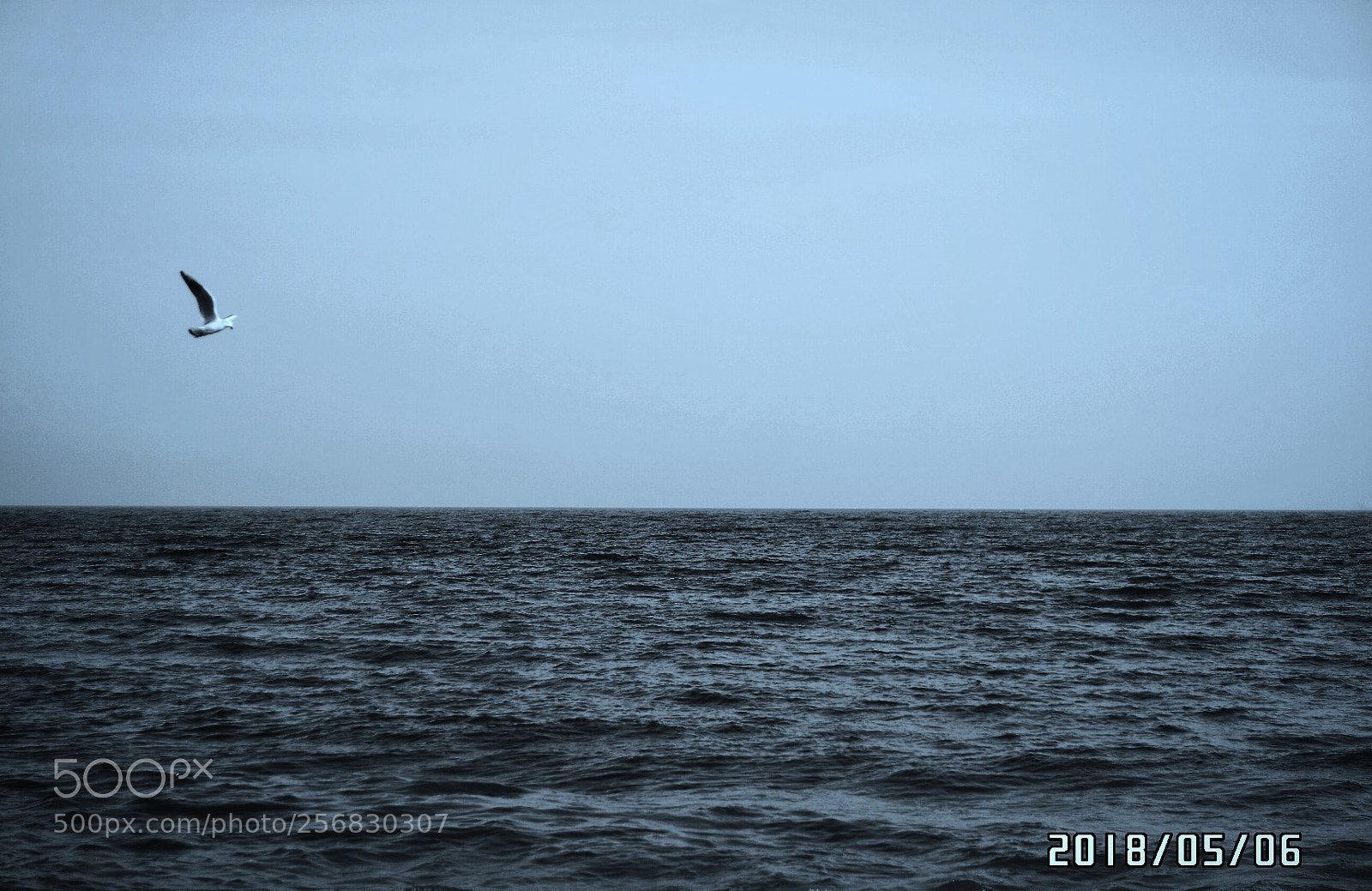 Samsung NX3000 sample photo. Untitled photography