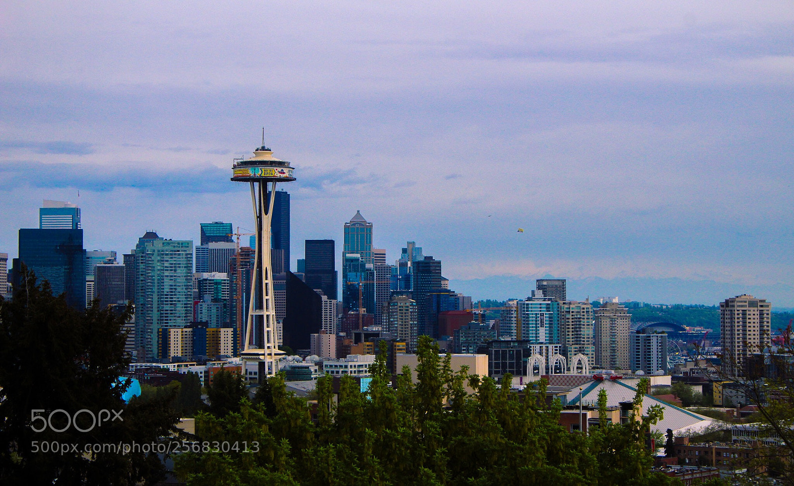 Canon EOS 1300D (EOS Rebel T6 / EOS Kiss X80) sample photo. Seattle photography