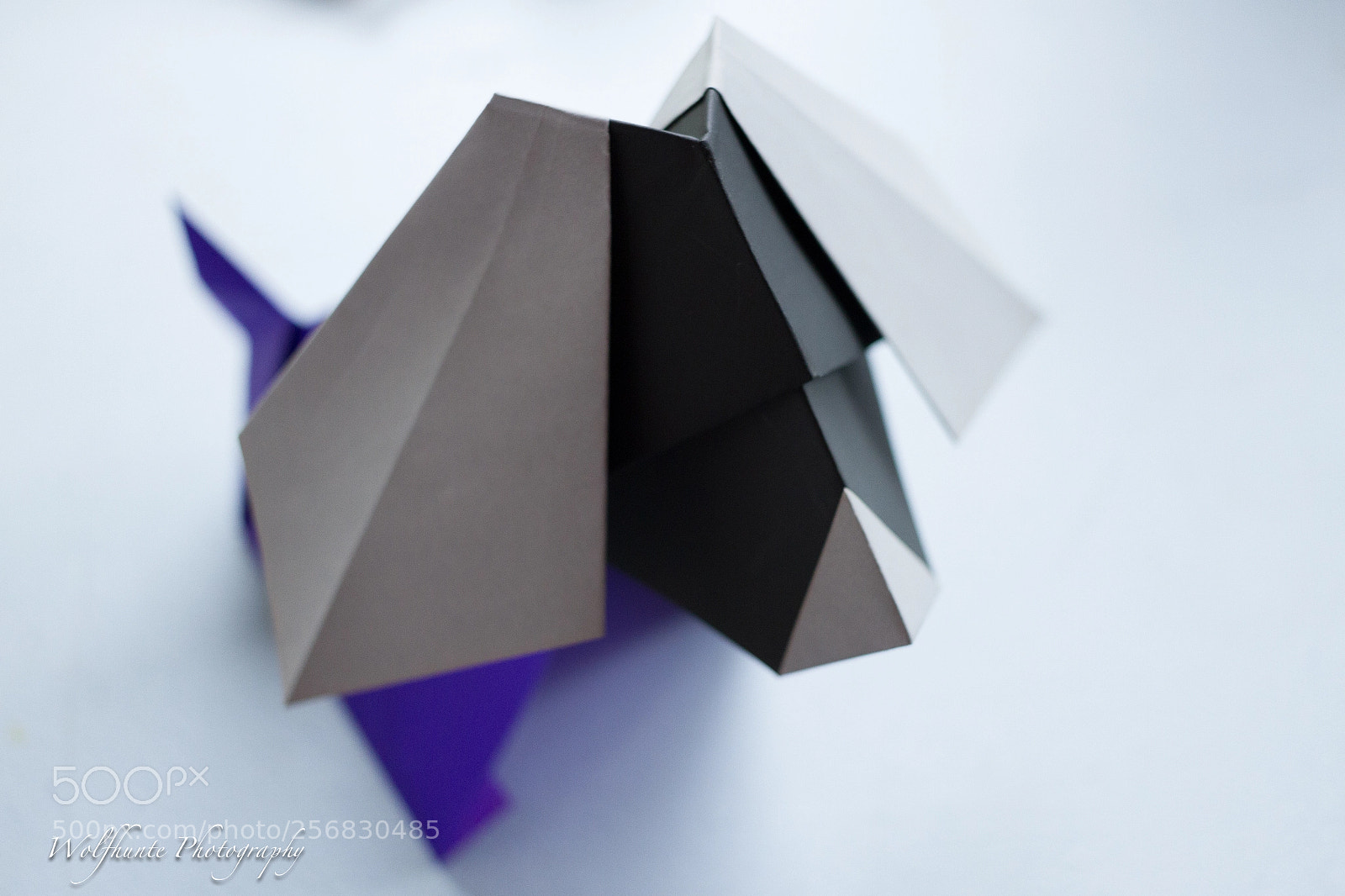 Canon EOS 7D sample photo. Origami puppy! photography