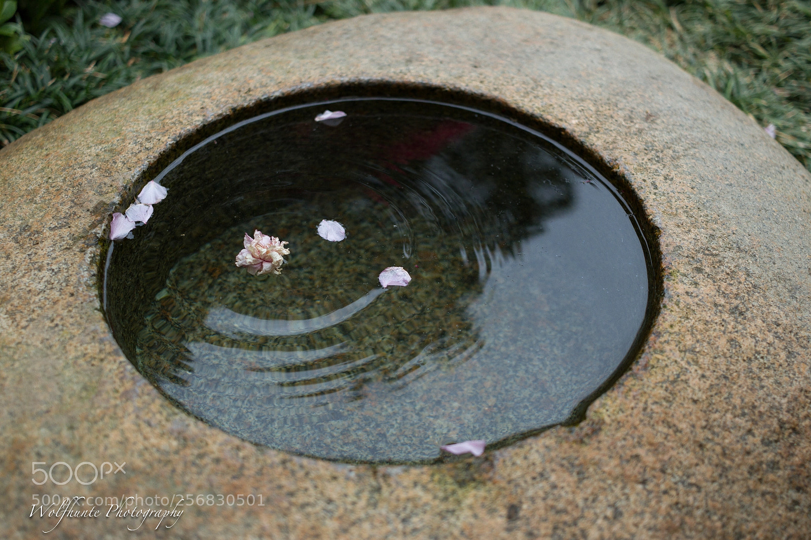 Canon EOS 7D sample photo. Round fountain rings photography